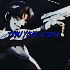 THRUYOURSECTION (Z3RO x K02 HELL)