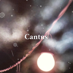 Cantus