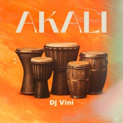 Dj Vini - Akali