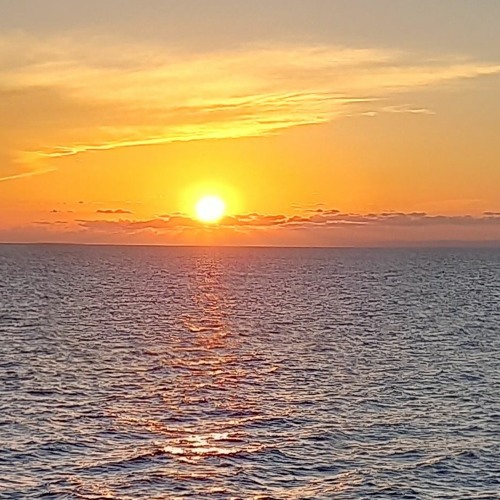 Say Hello To The Sun