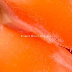 Present Dream Two Nine