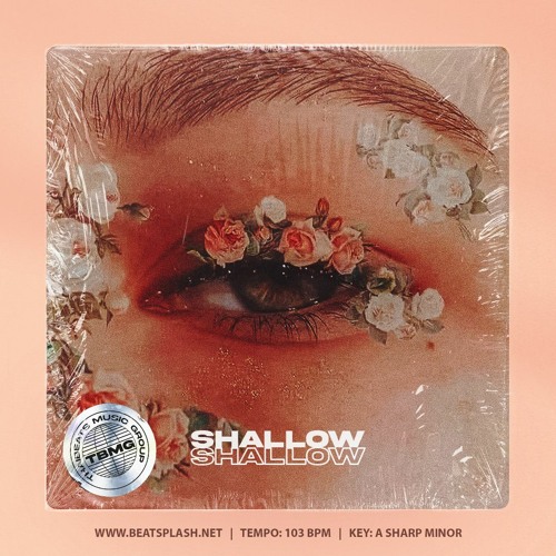 Shallow (Pop Funk Doja Cat Type Beat)