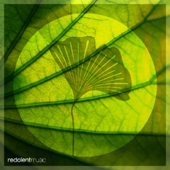 Marco Dily - Teardrop feat. Aminu (Original Mix Snippet)
