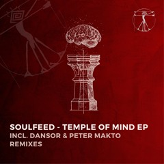 PREMIERE: Soulfeed - Copper Feel (Original) [Zenebona Records]