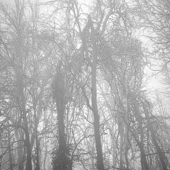 intoxicated (prod. dmntxo)