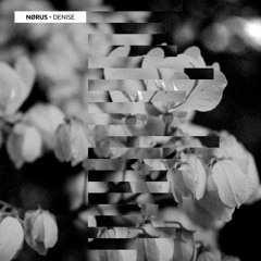 PREMIERE: Nørus - Saudade [STEP Recordings]