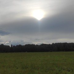 Neil Young - Tell Me Why (Cover, 22.11.2025 , take 2)