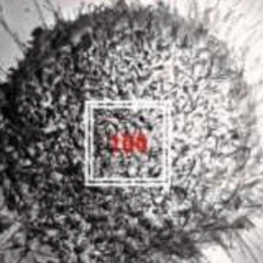 블랙넛 Black Nut  100 feat 천재노창 Genius Nochang 가사 Lyrics.mp3