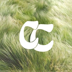 Lyrah - In The Leaves (Cxstle Cvstle Remix)