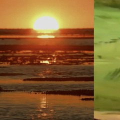 DXDF Live Set 2020.3.31