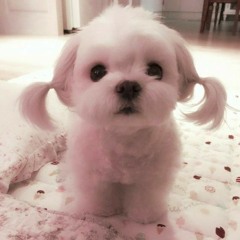 I CAN FIX THAT [prod. voidrave99]