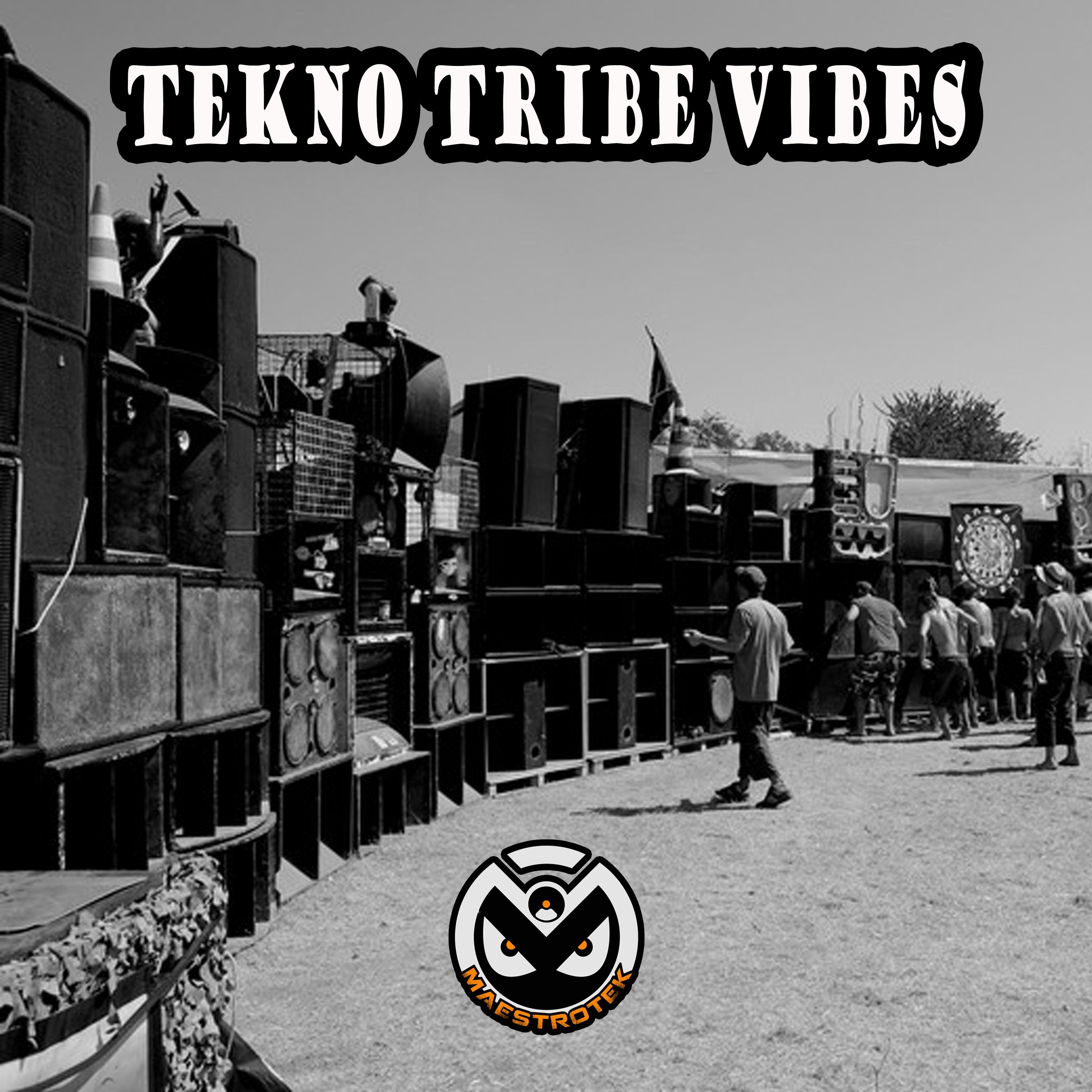 Tekno Tribe Vibes episode artwork