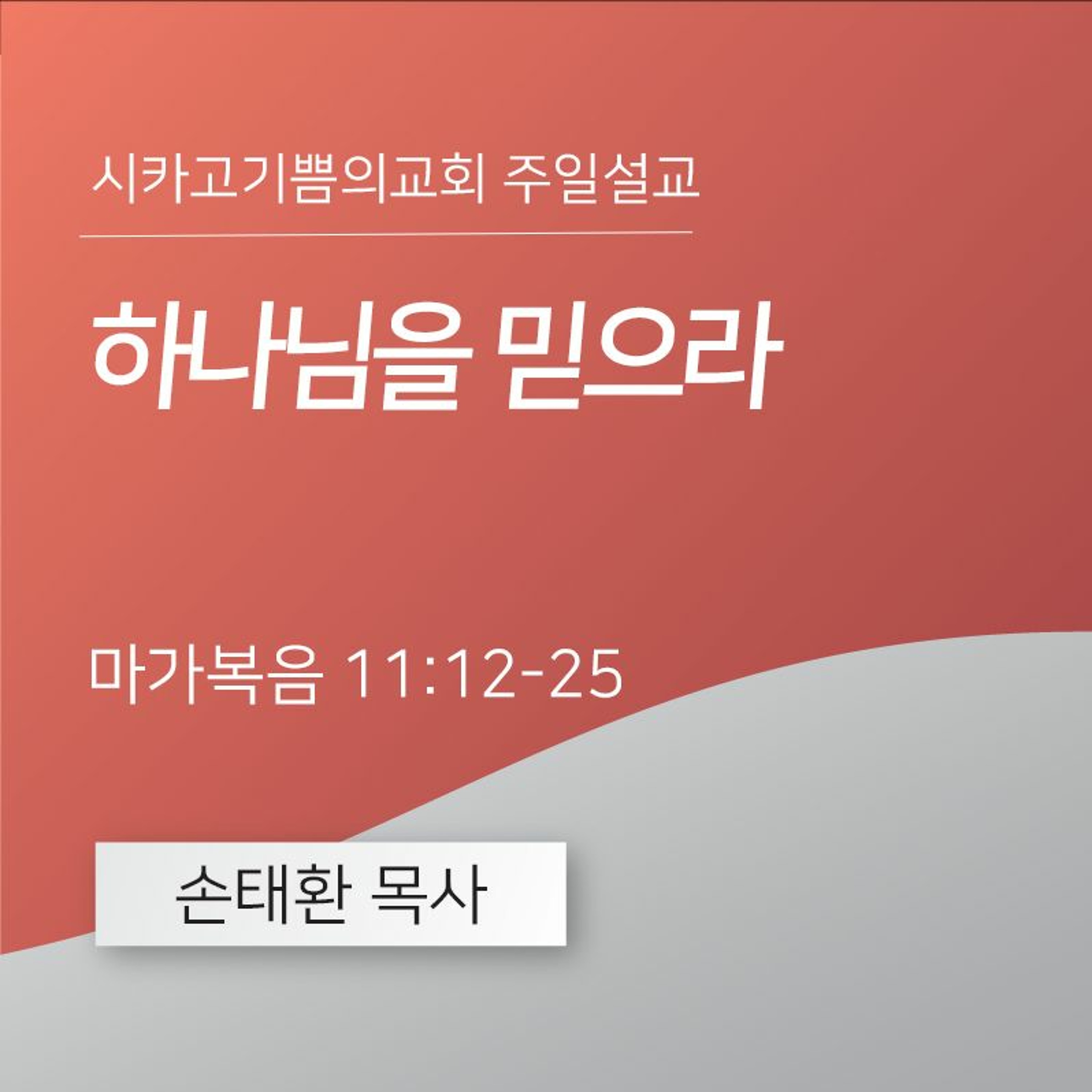 하나님을 믿으라  | 손태환 목사 | 시카고 기쁨의 교회 - 20240317 episode artwork