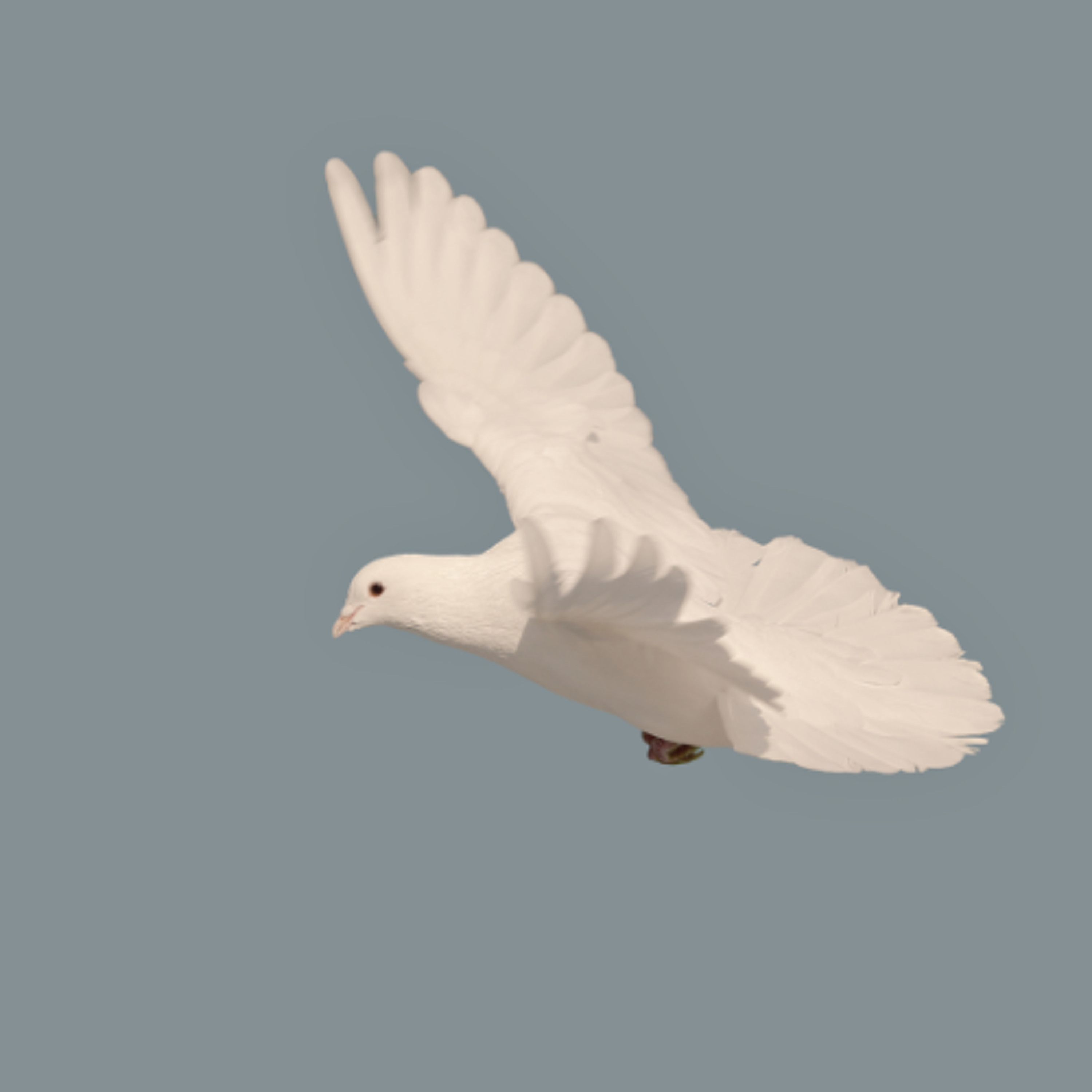 Partnering with the Holy Spirit - Sarah Bowen