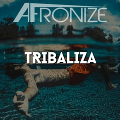Tribaliza (Original Mix)