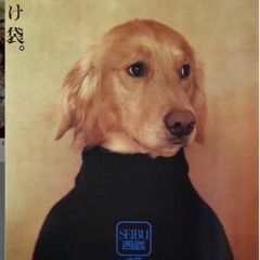 Silvia Prada MiuMiu Mix