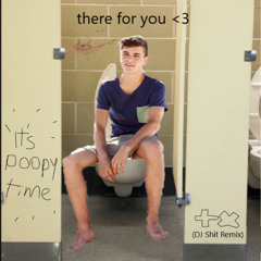 Martin Garrix & Troye Sivan - There For You (DJ Shit Remix)