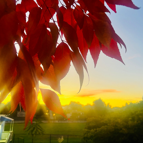 Save the World (Studio Edit)