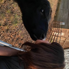 Ah! Life Is Fine Here