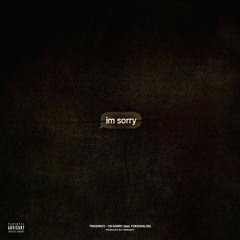 I'M SORRY (feat. FUKKSAILOR)