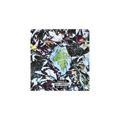 iputmyspiritindesebeats.wav