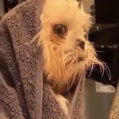 WAKE YO ASS UP (Morning Mix)