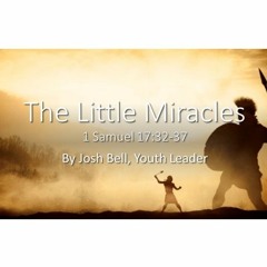 "The Little Miracles" By Josh Bell Youth Leader