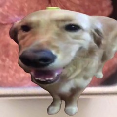 Salami Dog (remastered 2024)