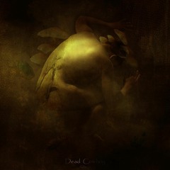 Dead Cowboy - Decay