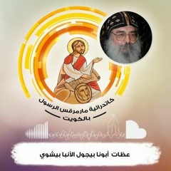تأمل في حياة القديسان مكسيموس ودوماديوس -الاحد- 23-1-2022 - ابونا بيجول الانبا بيشوي