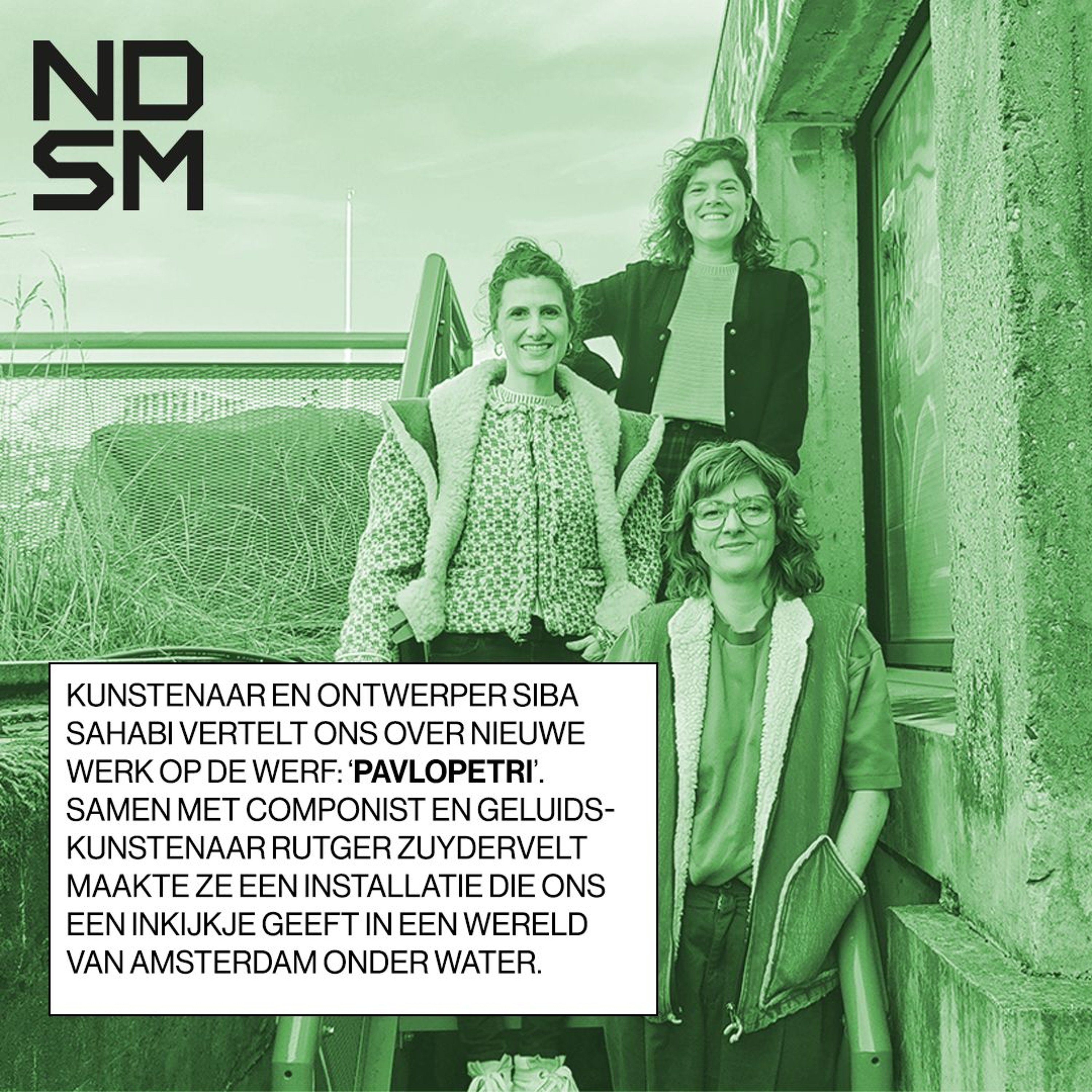 NDSM X