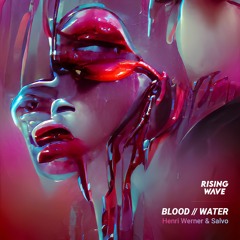 Henri Werner & Salvo - Blood // Water