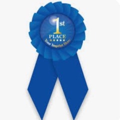 1st Place