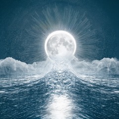 Embrace the Light
