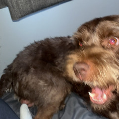 i changed jobs, switches cities