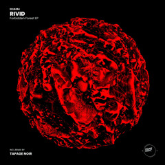 RiVid - Nemesis (Tapage Noir Remix)