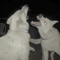 Tell me that is real