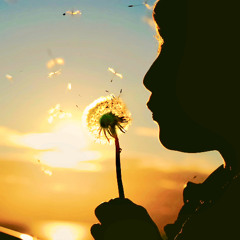 The Winds Of Summer