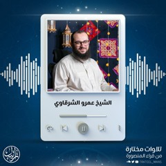 سورة المعارج | الشيخ عمرو الشرقاوي