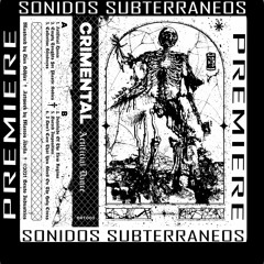 | Premiere | Crimental - Collective Blindness | [BRUTO]