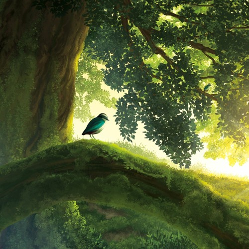 Silva quercus