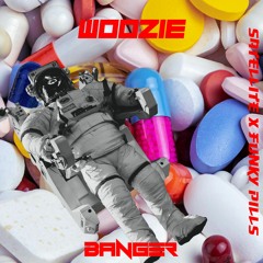 Woozie - Satellite (FREE DL)