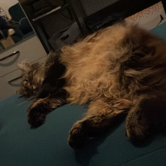 Montello - Katė (Dance)