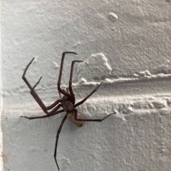 30 Minutes To Clean The House