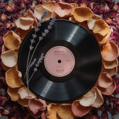 PREMIERE - Berdano - ACIDitious (Disrupted Music)