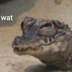 wut