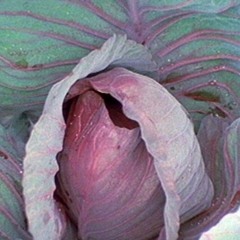 Sex & Stuff #05 - Erotic Literature