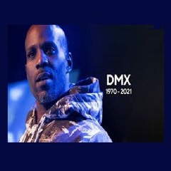 Transition - R.I.P DMX