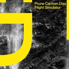 Prune Carmen Diaz - Flight Simulator
