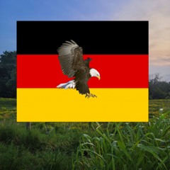 Ich Verachte - AssiH